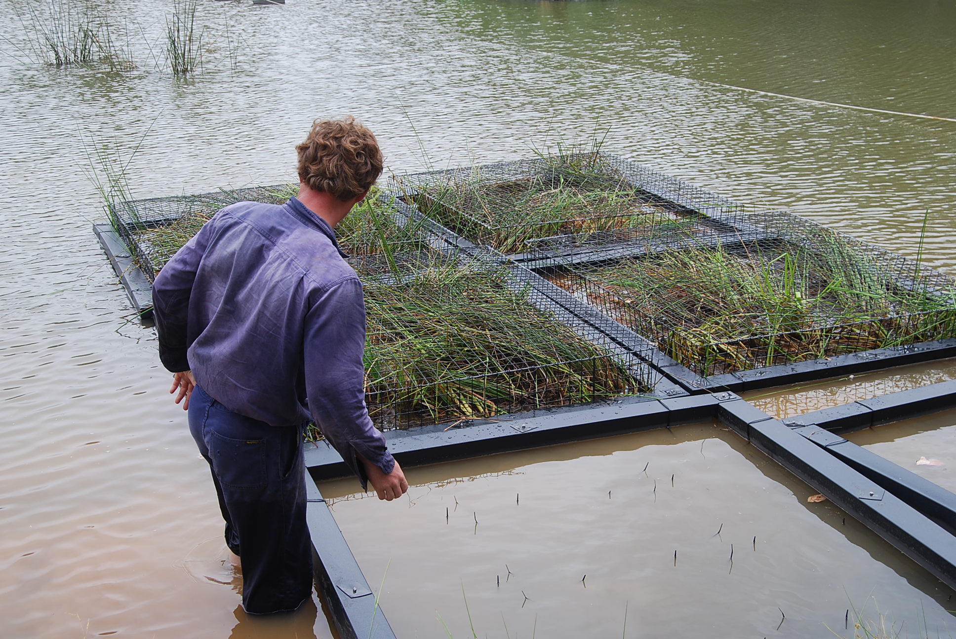 Campbelltown City Council Floating Wetland Trial