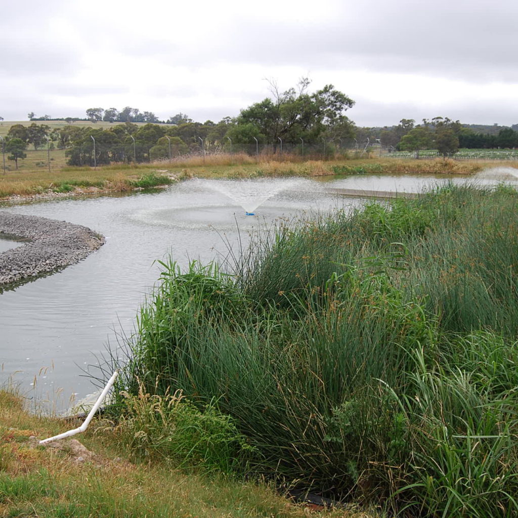 Penrith Lakes Regatta Centre - Harris Environmental